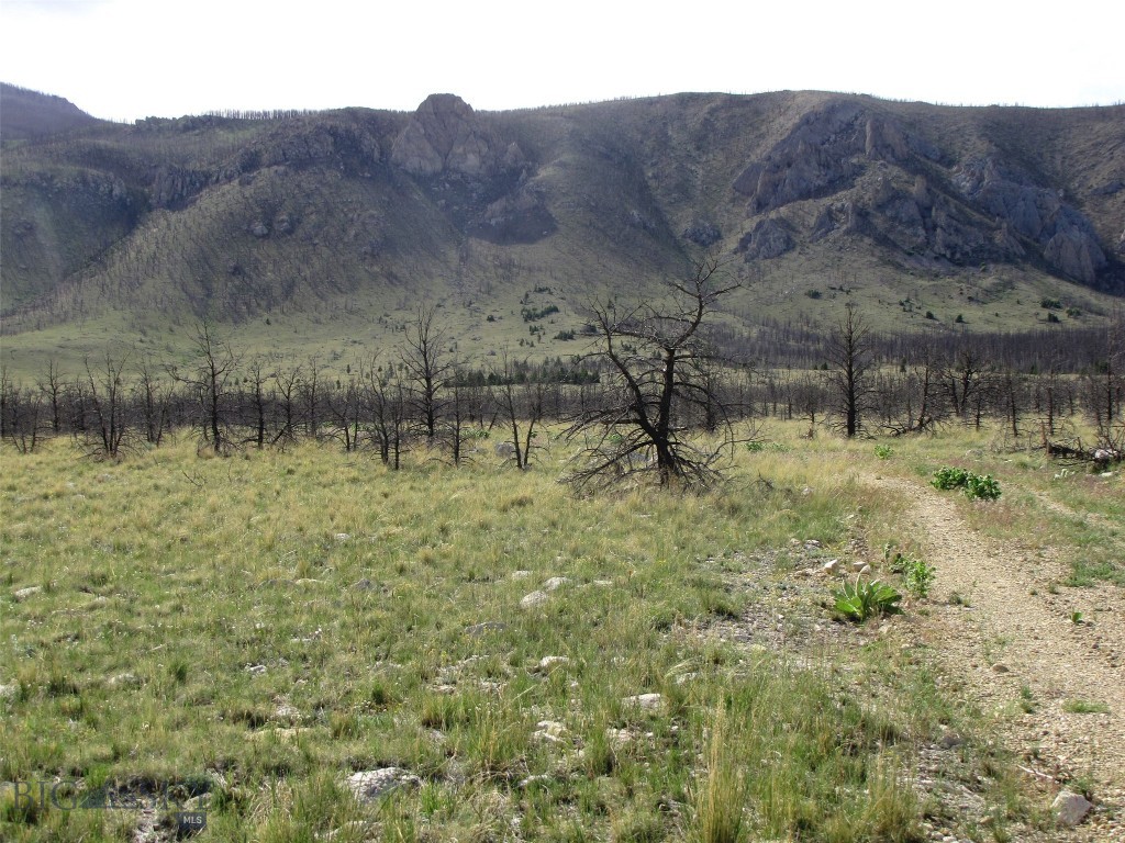 nhn Ranger Way, Red Lodge MT 59068