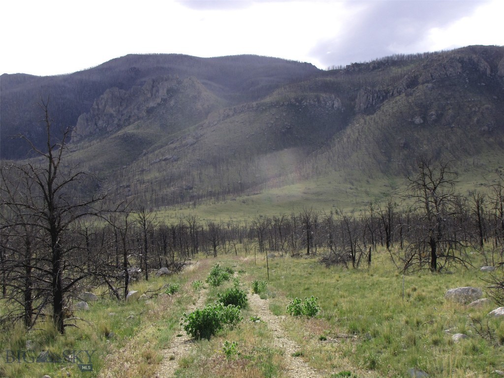 nhn Ranger Way, Red Lodge MT 59068