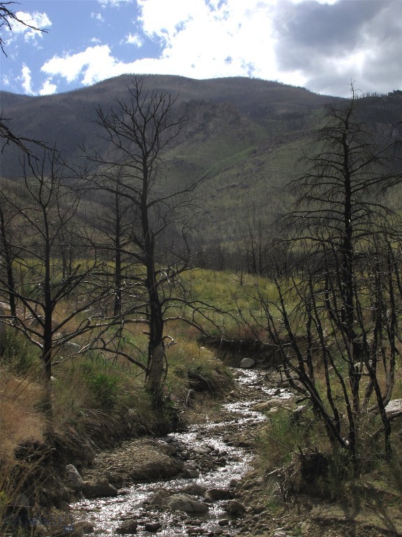 nhn Ranger Way, Red Lodge MT 59068