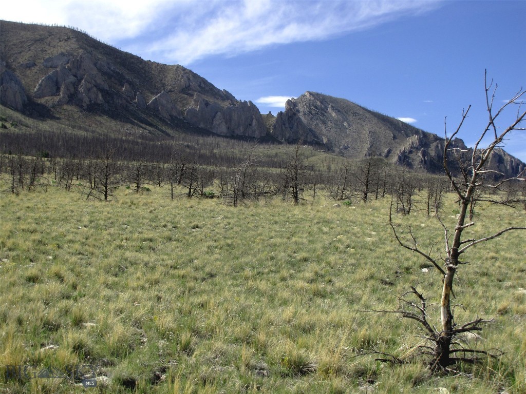 nhn Ranger Way, Red Lodge MT 59068