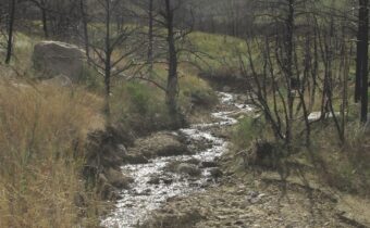 nhn Ranger Way, Red Lodge MT 59068