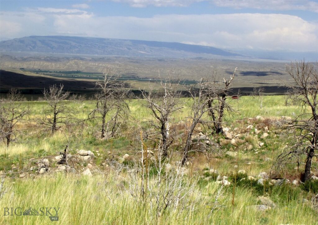 nhn Ranger Way, Red Lodge MT 59068