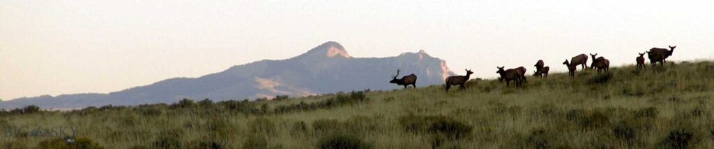 nhn Ranger Way, Red Lodge MT 59068