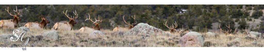 nhn Ranger Way, Red Lodge MT 59068