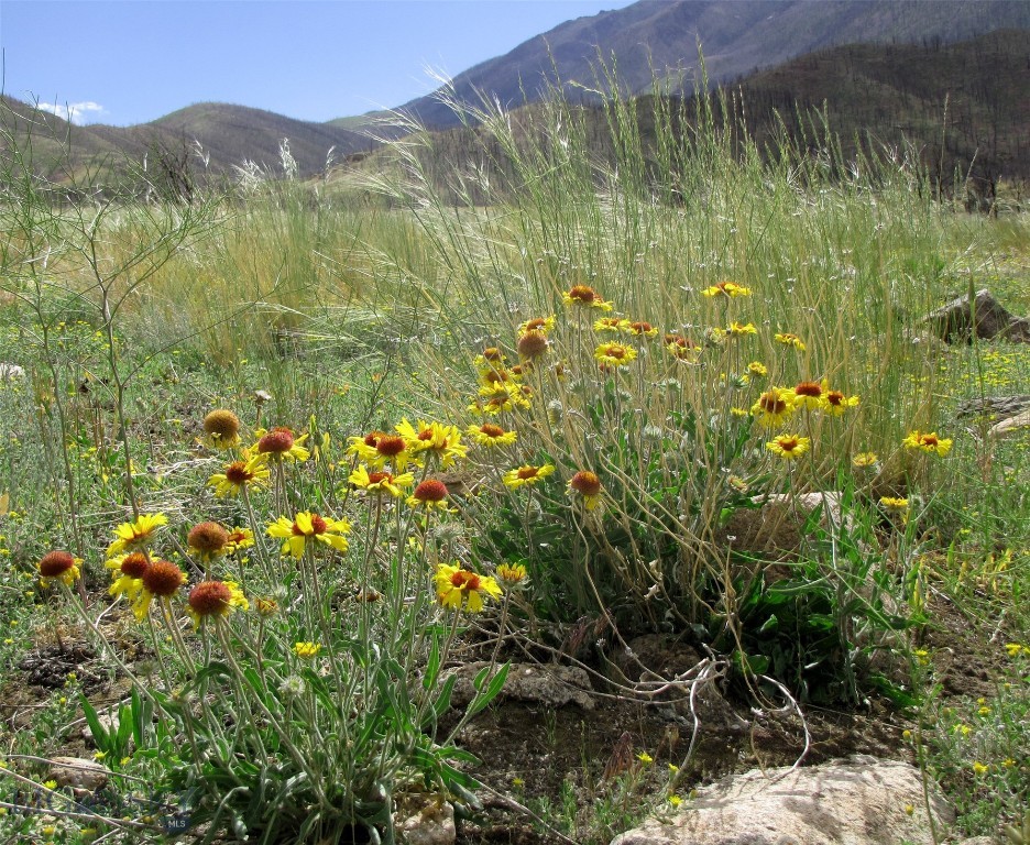 nhn Ranger Way, Red Lodge MT 59068