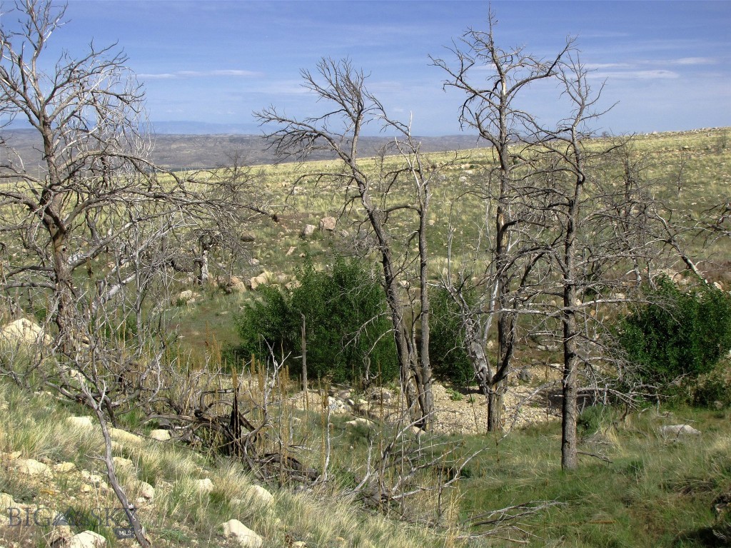 nhn Ranger Way, Red Lodge MT 59068