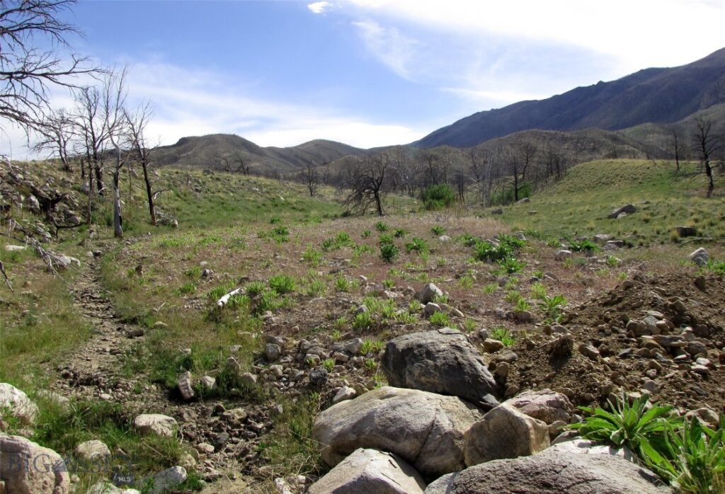 nhn Ranger Way, Red Lodge MT 59068