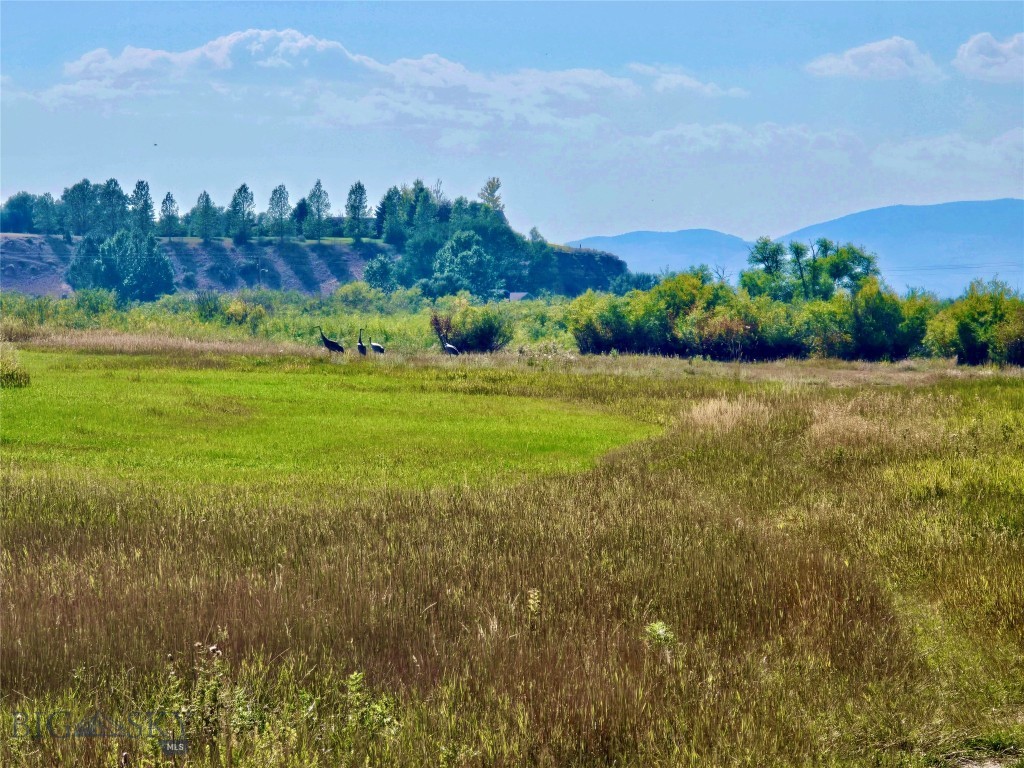 NHN E Bench Road, Twin Bridges MT 59754