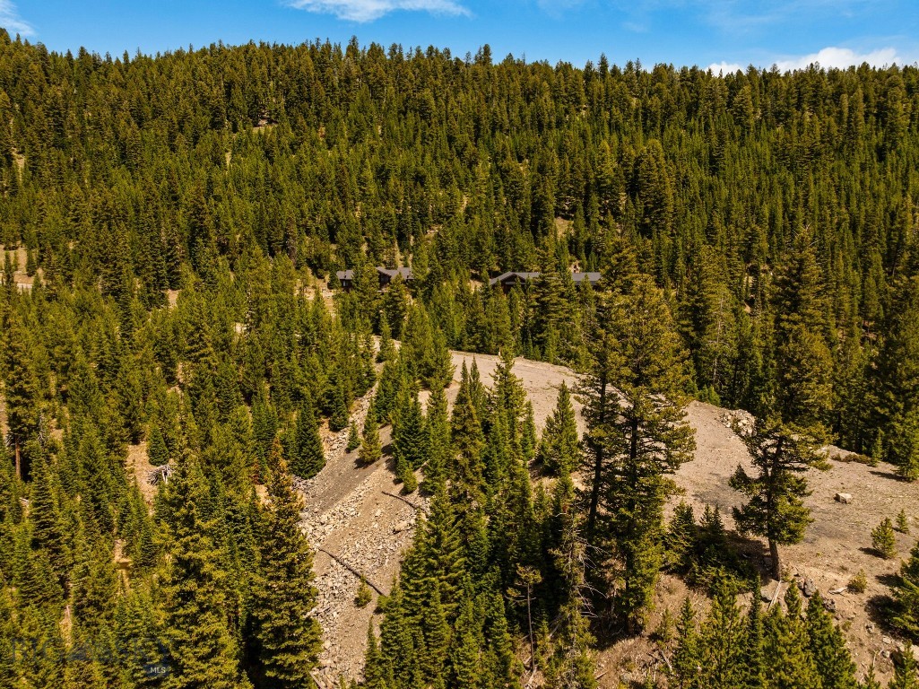 NHN First Left Drive, Big Sky MT 59716