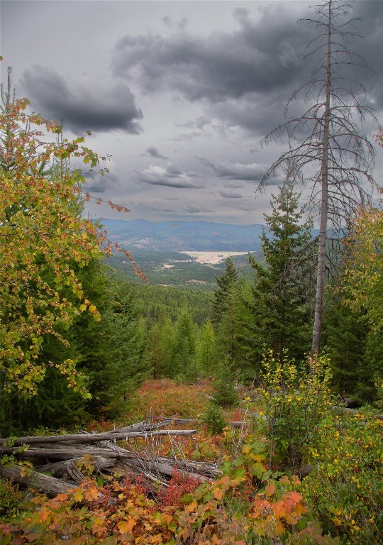 NHN Haskill Mountain Ranch Road, Kila MT 59920