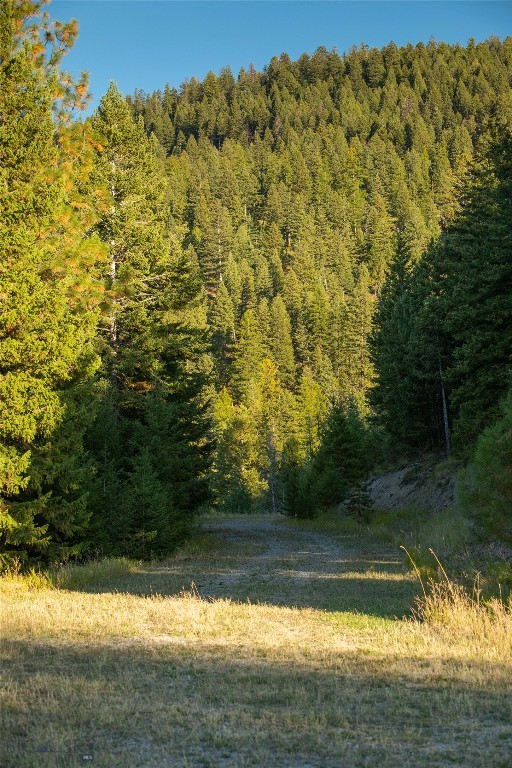 NHN Haskill Mountain Ranch Road, Kila MT 59920