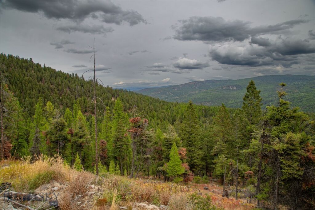 NHN Haskill Mountain Ranch Road, Kila MT 59920