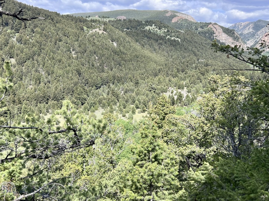 NHN Lost Creek Rd, Anaconda MT 59711