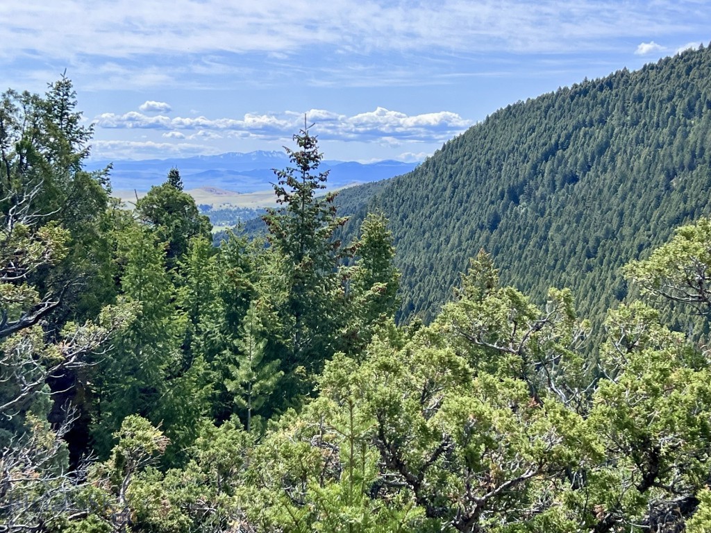 NHN Lost Creek Rd, Anaconda MT 59711