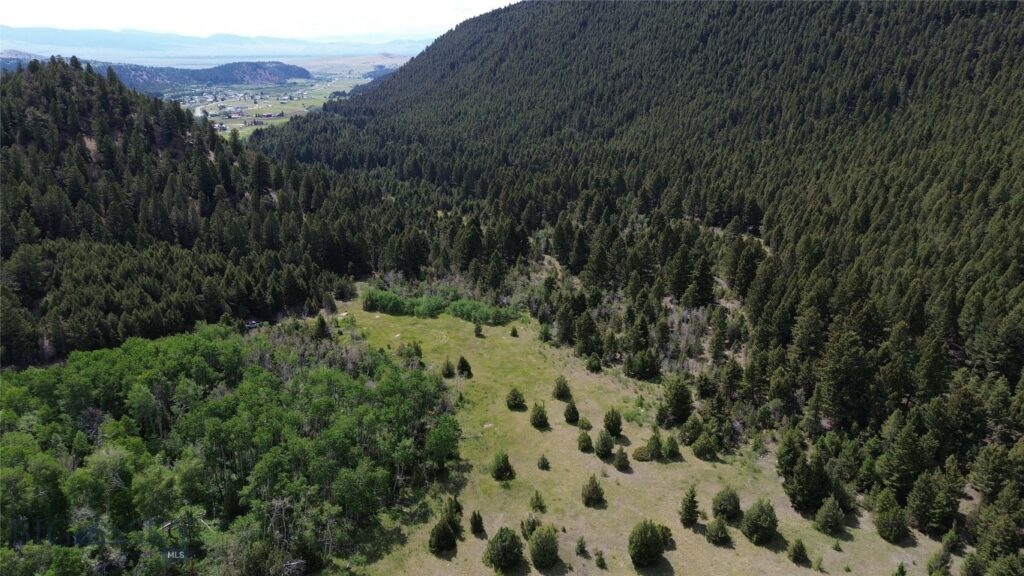 NHN Lost Creek Rd, Anaconda MT 59711