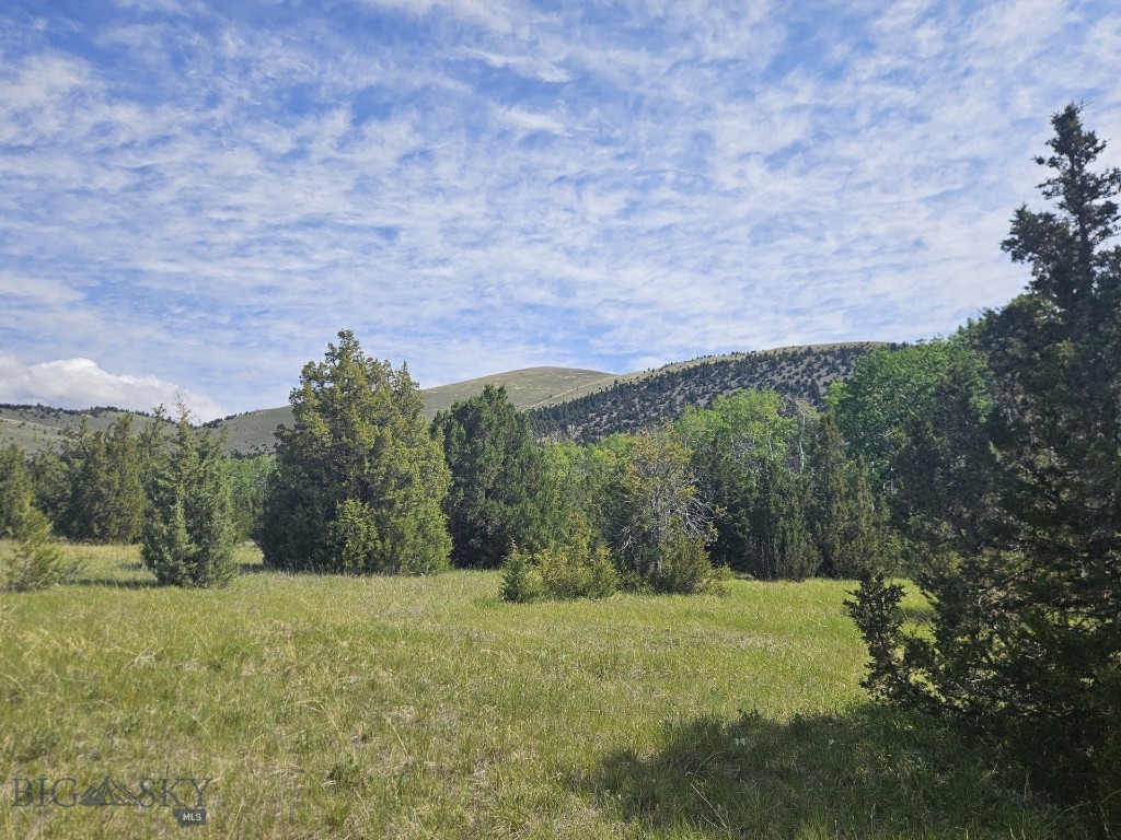 NHN Lost Creek Rd, Anaconda MT 59711