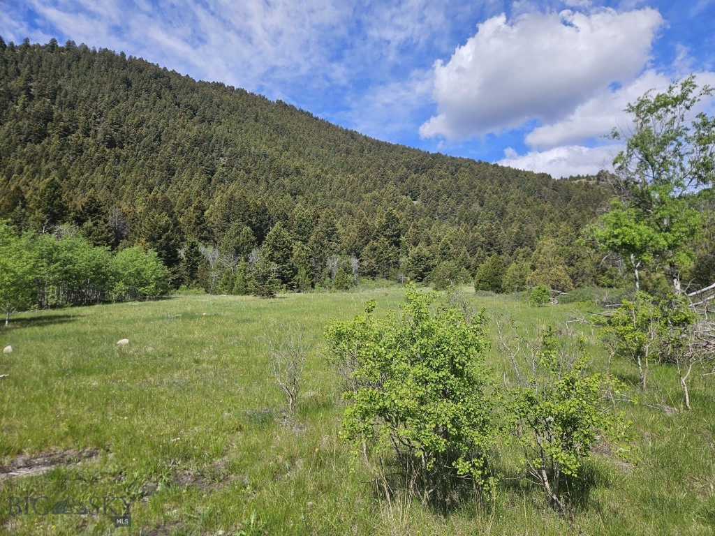 NHN Lost Creek Rd, Anaconda MT 59711