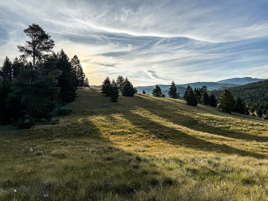 NHN Lot 21 Mountain Moose Road, Philipsburg MT 59858