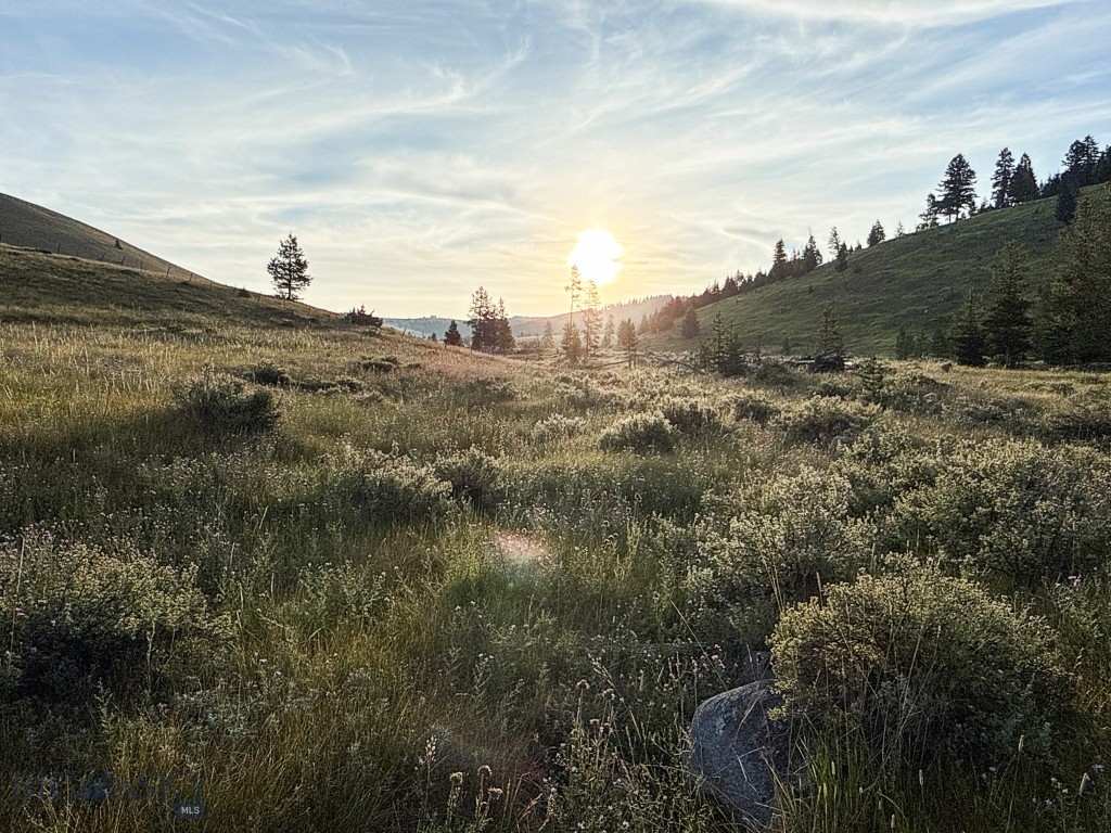 NHN Lot 21 Mountain Moose Road, Philipsburg MT 59858