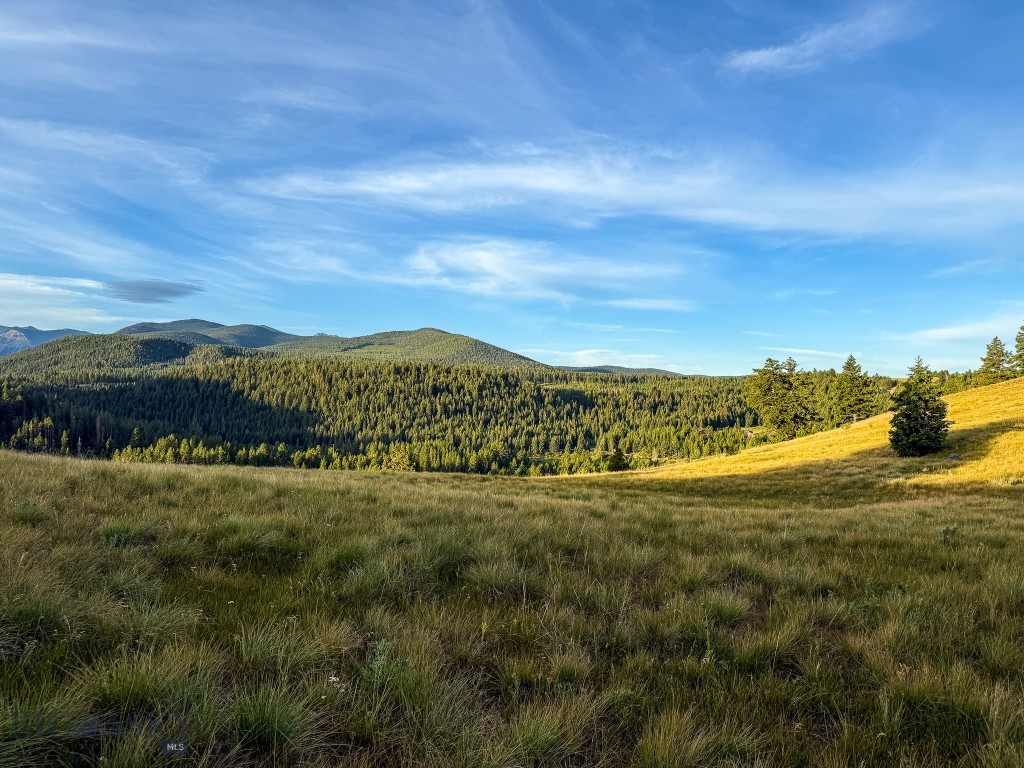 NHN Lot 21 Mountain Moose Road, Philipsburg MT 59858