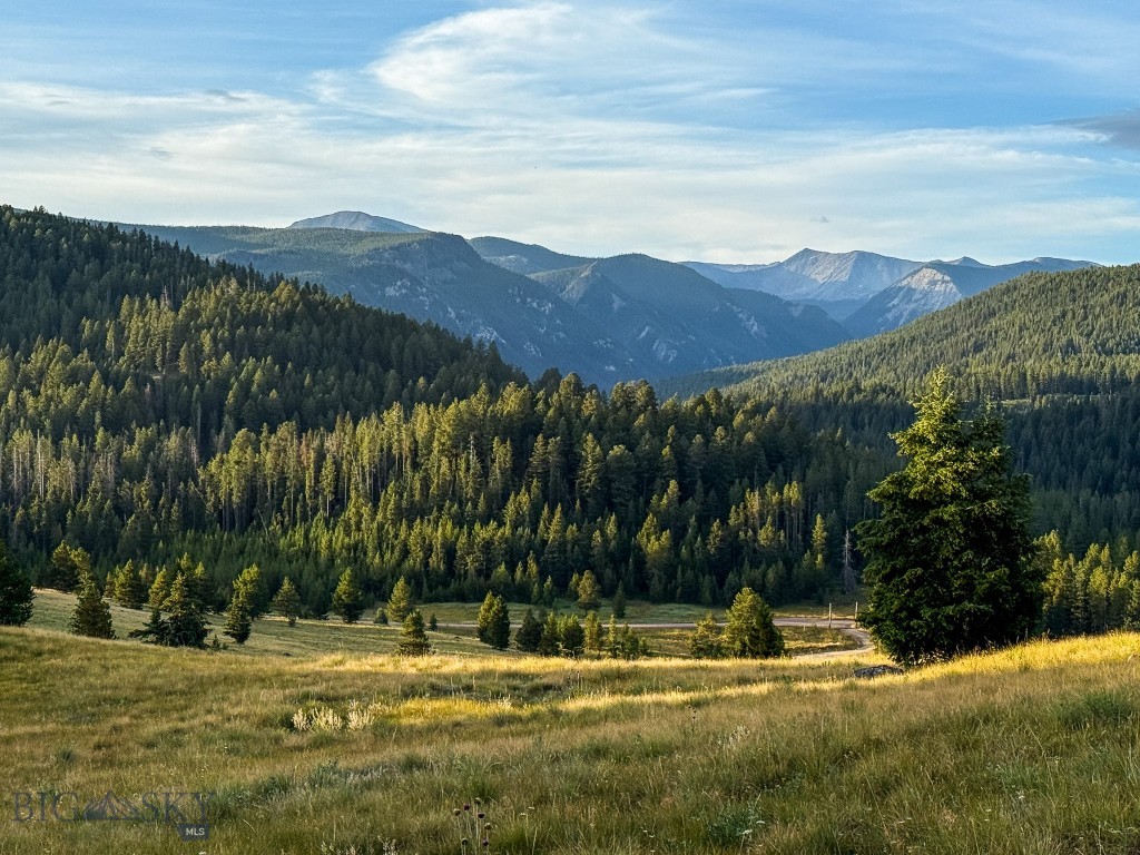 NHN Lot 21 Mountain Moose Road, Philipsburg MT 59858