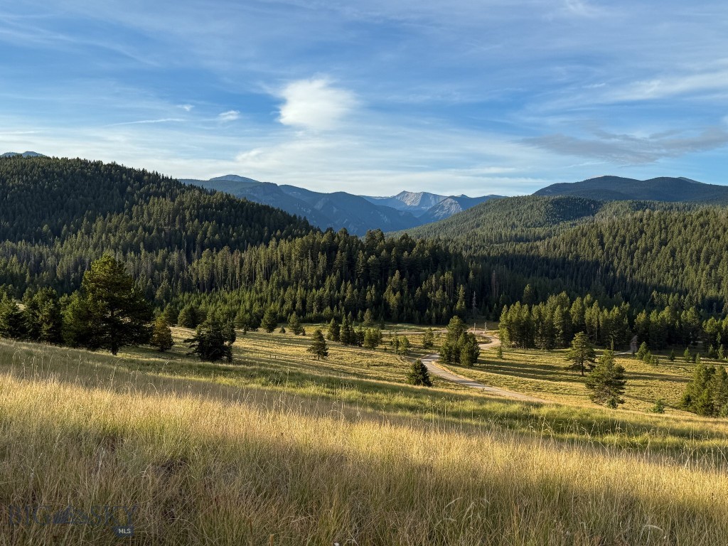 NHN Lot 21 Mountain Moose Road, Philipsburg MT 59858