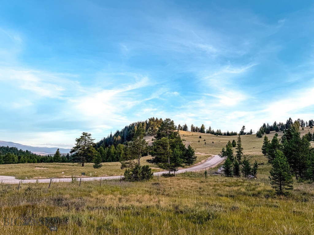 NHN Lot 21 Mountain Moose Road, Philipsburg MT 59858
