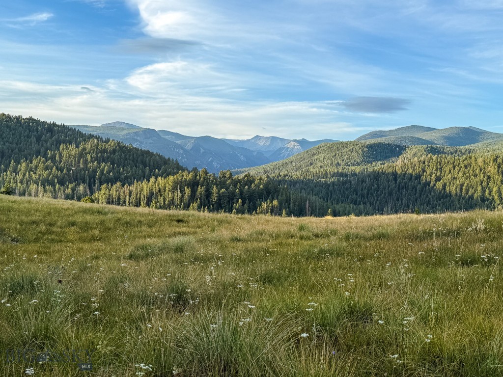 NHN Lot 21 Mountain Moose Road, Philipsburg MT 59858