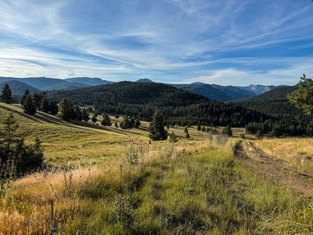 NHN Lot 21 Mountain Moose Road, Philipsburg MT 59858