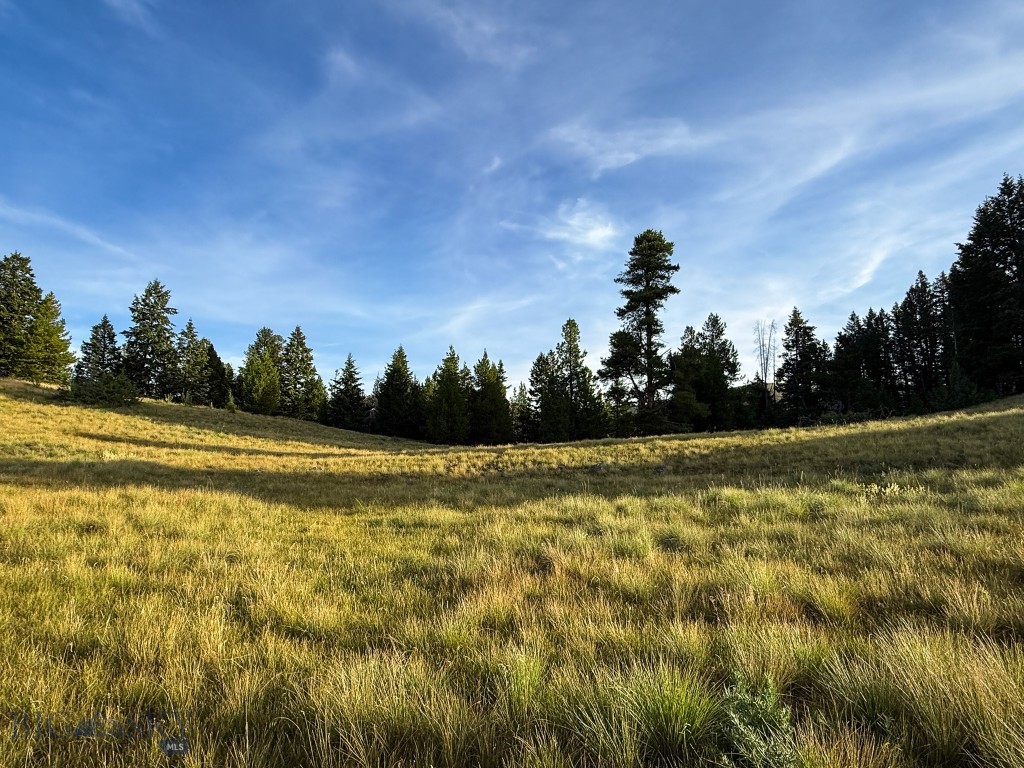 NHN Lot 21 Mountain Moose Road, Philipsburg MT 59858