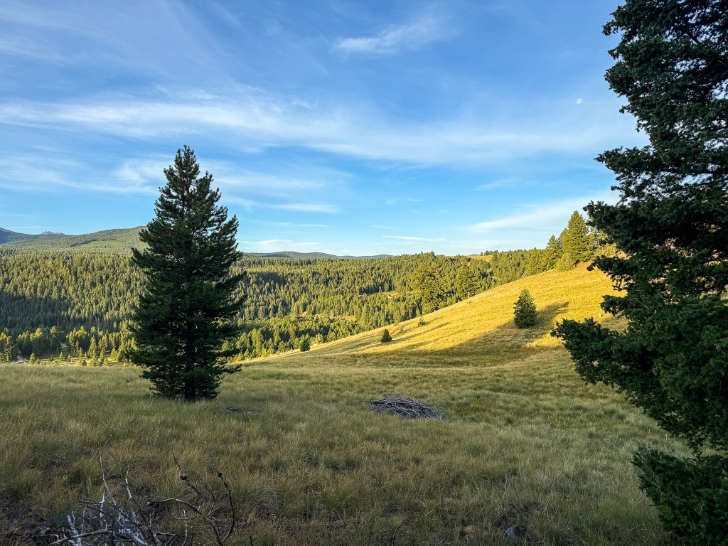 NHN Lot 21 Mountain Moose Road, Philipsburg MT 59858