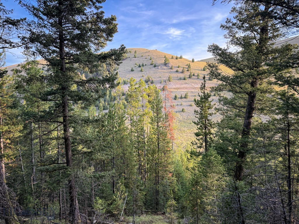 NHN Lot 21 Mountain Moose Road, Philipsburg MT 59858