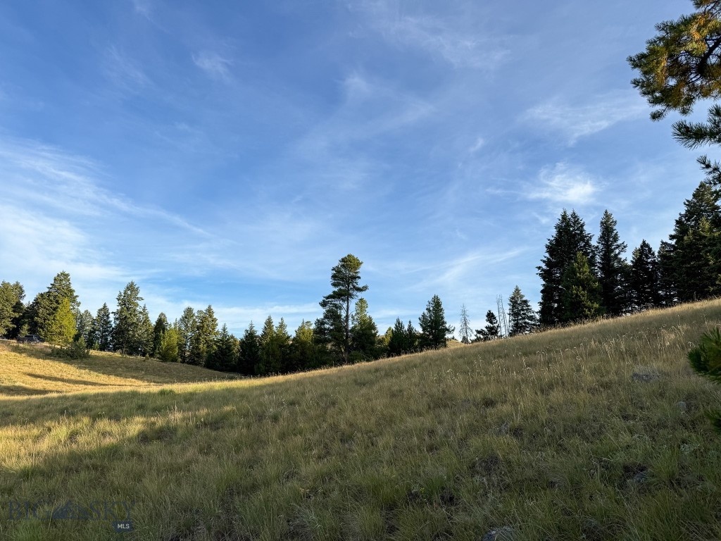 NHN Lot 21 Mountain Moose Road, Philipsburg MT 59858