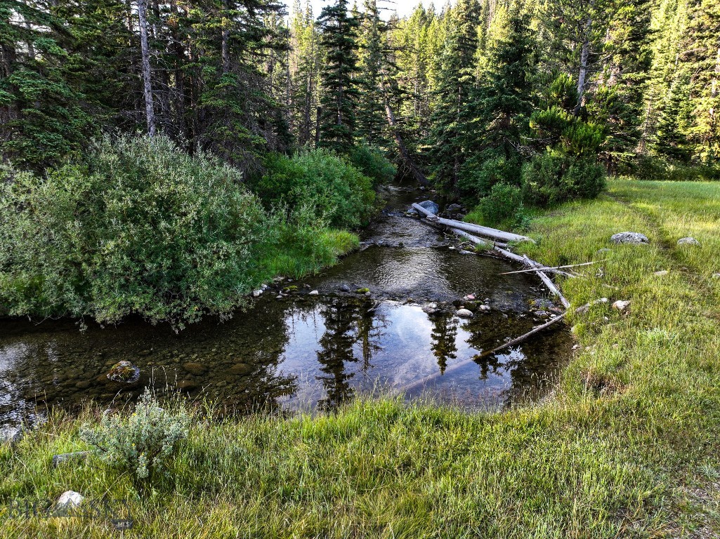 NHN Lot 21 Mountain Moose Road, Philipsburg MT 59858