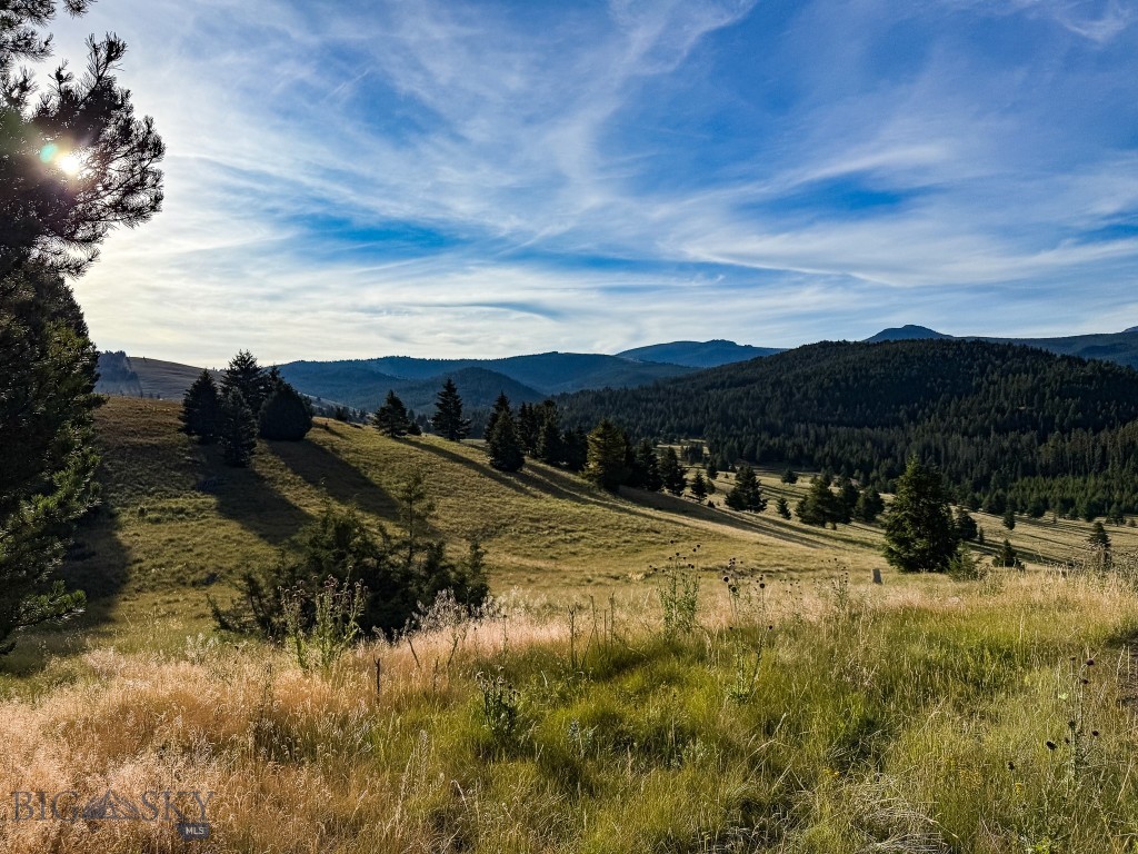 NHN Lot 21 Mountain Moose Road, Philipsburg MT 59858