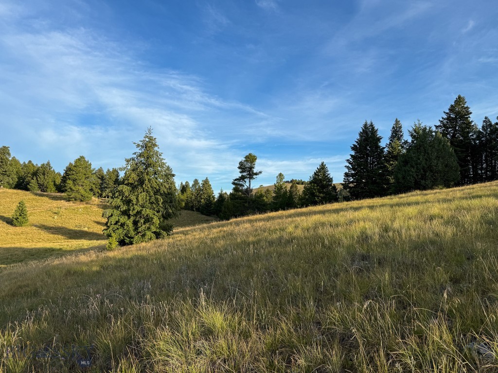 NHN Lot 21 Mountain Moose Road, Philipsburg MT 59858