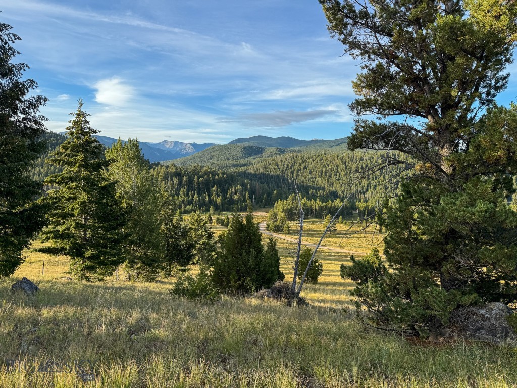 NHN Lot 21 Mountain Moose Road, Philipsburg MT 59858