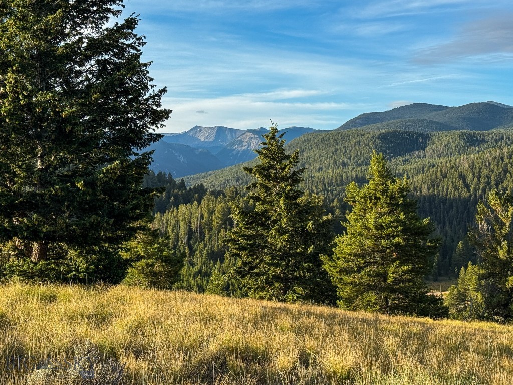 NHN Lot 21 Mountain Moose Road, Philipsburg MT 59858