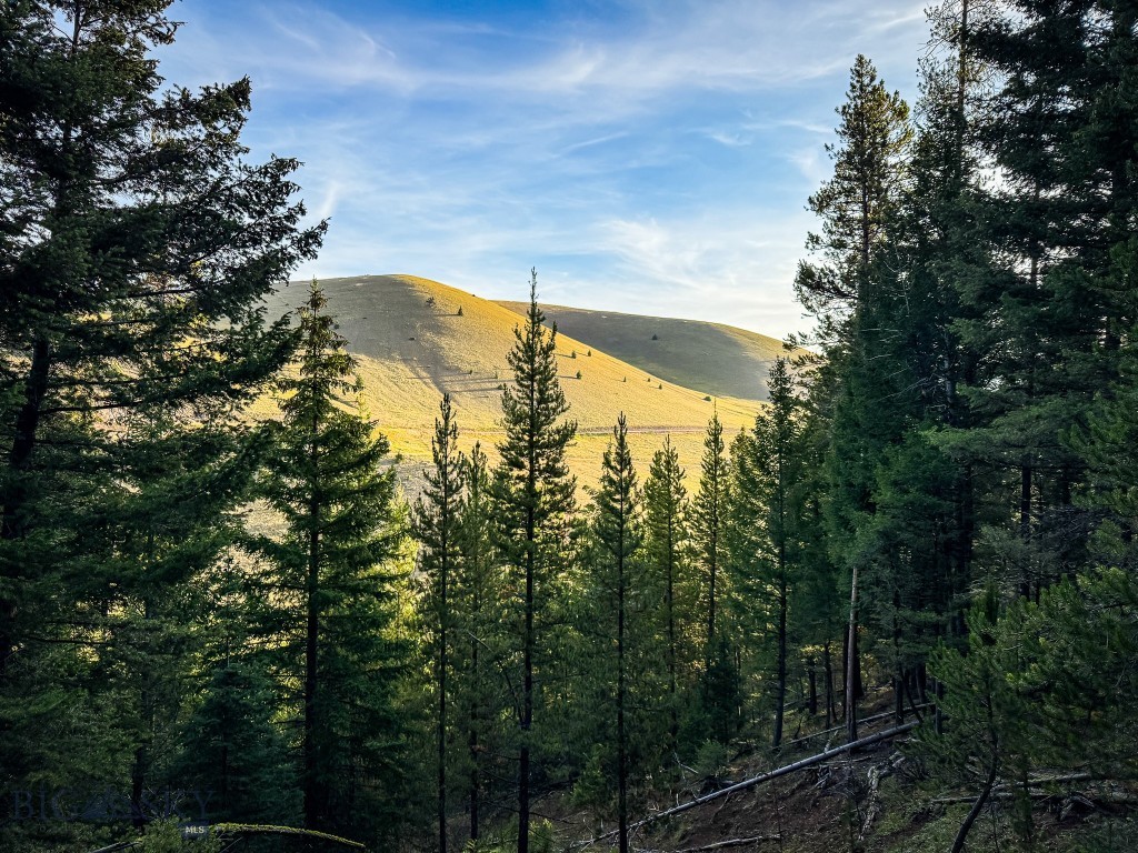 NHN Lot 21 Mountain Moose Road, Philipsburg MT 59858