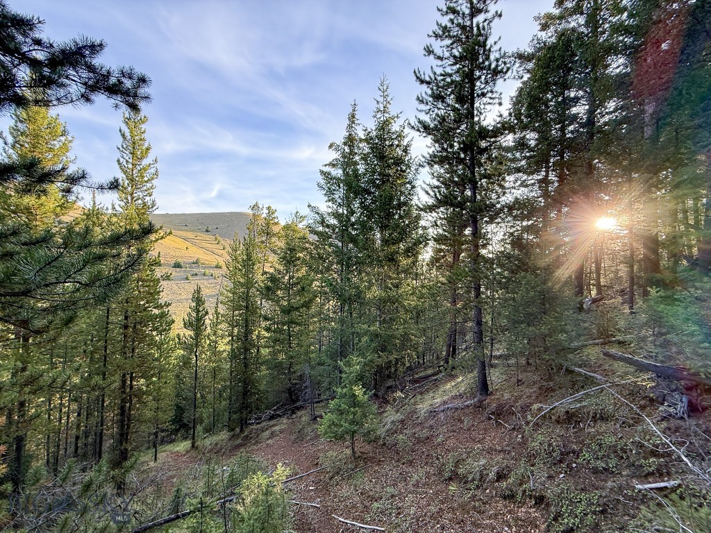NHN Lot 21 Mountain Moose Road, Philipsburg MT 59858