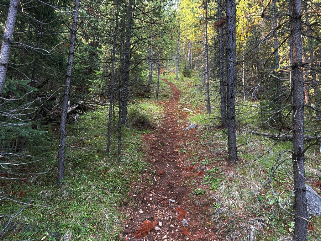 NHN Lot 21 Mountain Moose Road, Philipsburg MT 59858