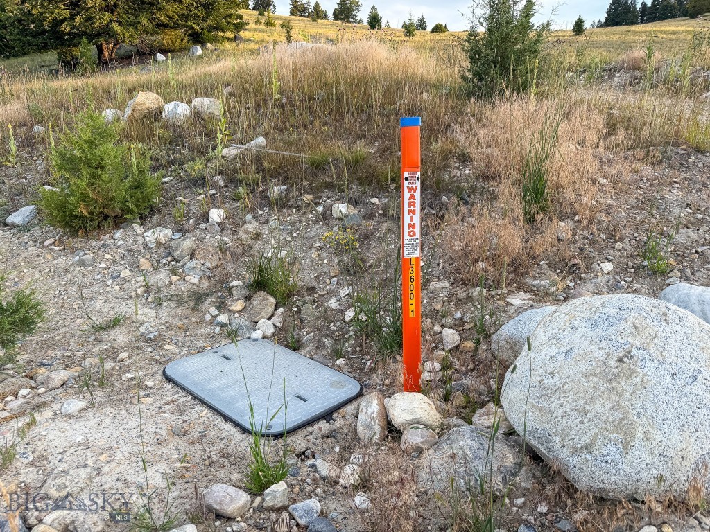 NHN Lot 21 Mountain Moose Road, Philipsburg MT 59858