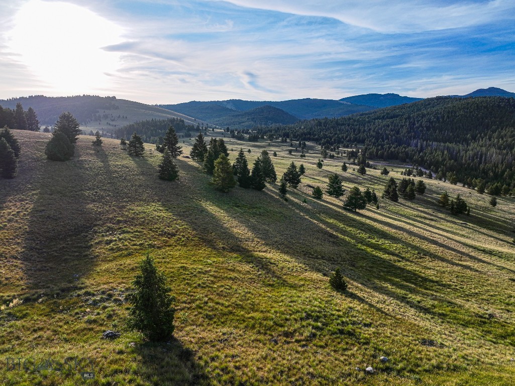 NHN Lot 21 Mountain Moose Road, Philipsburg MT 59858