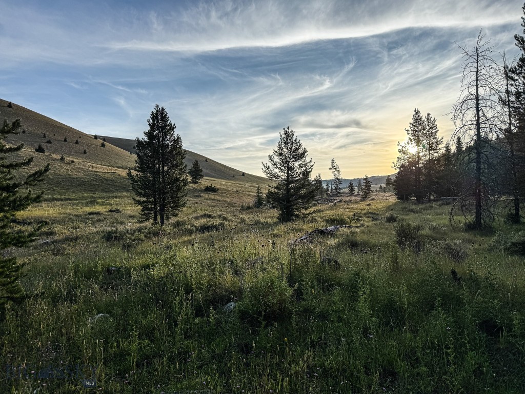 NHN Lot 21 Mountain Moose Road, Philipsburg MT 59858