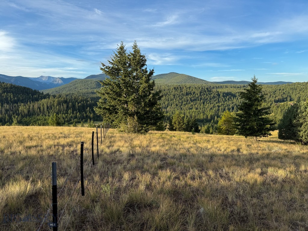 NHN Lot 21 Mountain Moose Road, Philipsburg MT 59858