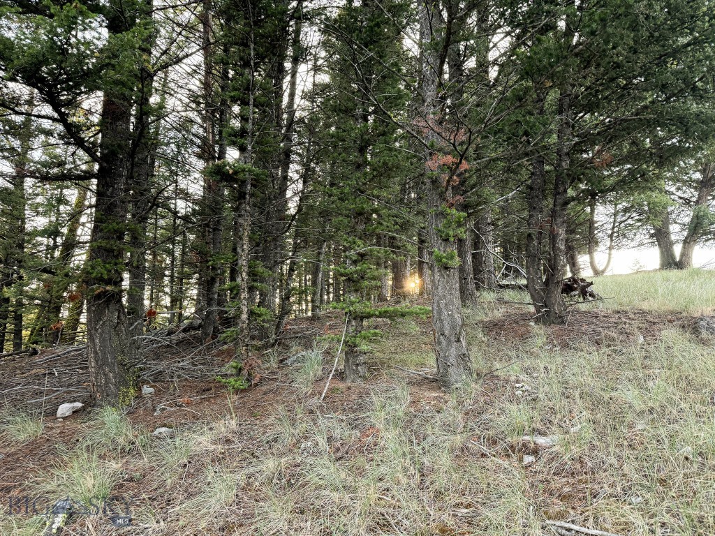NHN Lot 21 Mountain Moose Road, Philipsburg MT 59858