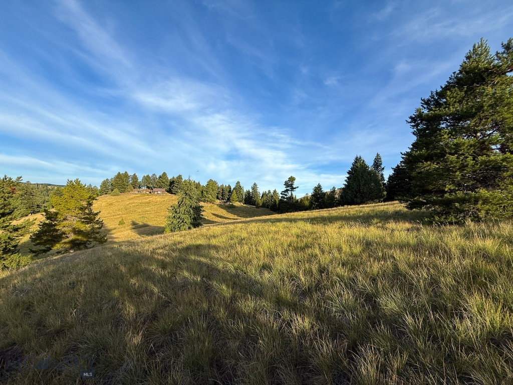 NHN Lot 21 Mountain Moose Road, Philipsburg MT 59858