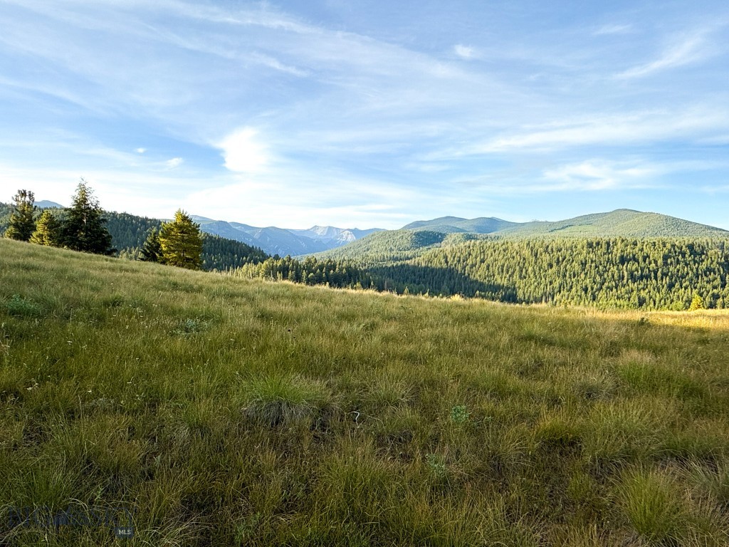 NHN Lot 21 Mountain Moose Road, Philipsburg MT 59858