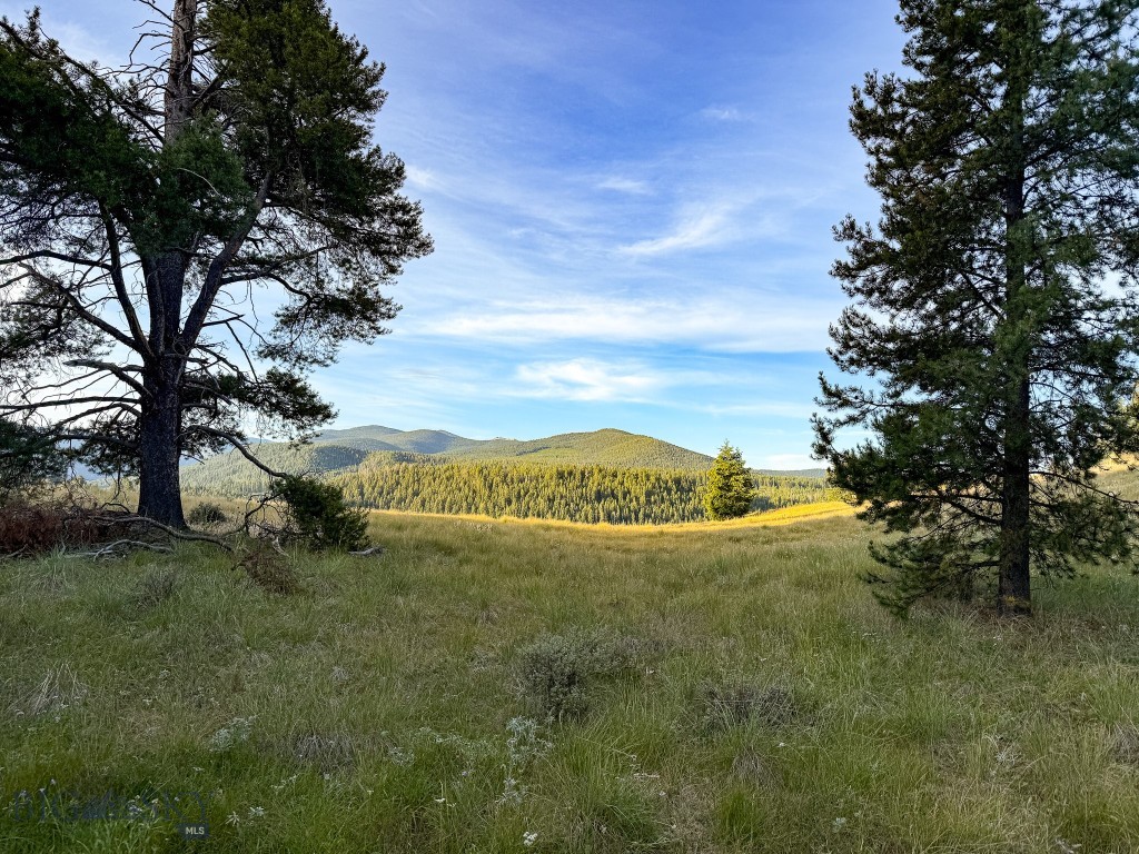 NHN Lot 21 Mountain Moose Road, Philipsburg MT 59858
