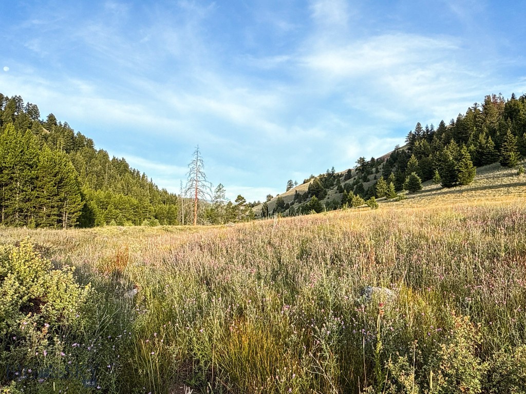 NHN Lot 21 Mountain Moose Road, Philipsburg MT 59858